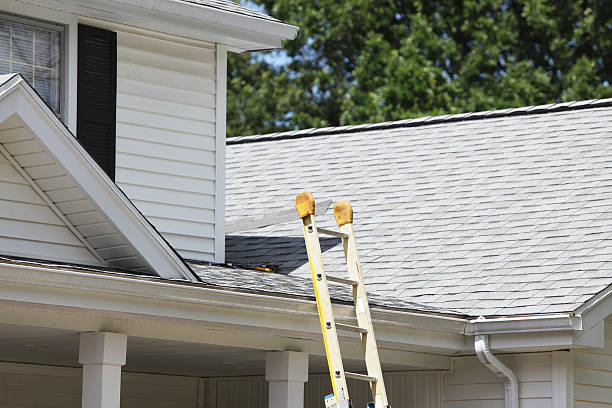 Best Demolition Debris Removal  in Lochmoor Waterway Estates, FL